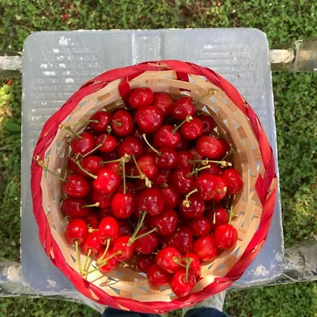 Degli Archi - Ristorante 3*