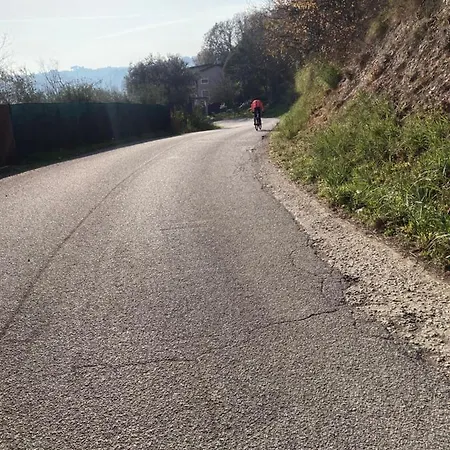 Degli Archi - Ristorante