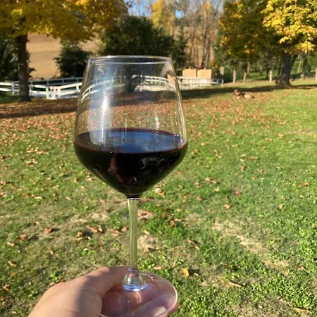 Degli Archi - Ristorante 3* Castorano (Ascoli Piceno)