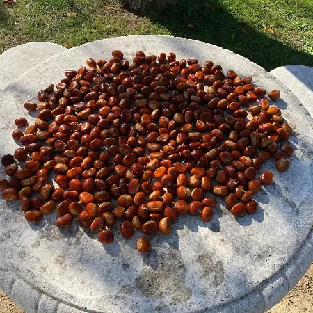 Degli Archi - Ristorante Bed and breakfast Castorano (Ascoli Piceno)