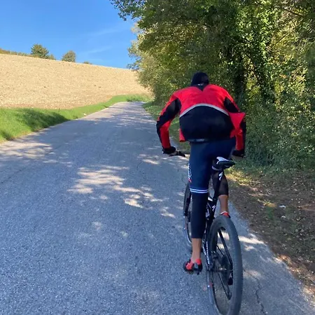 Degli Archi - Ristorante