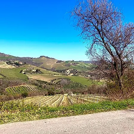 Degli Archi - Ristorante 3*